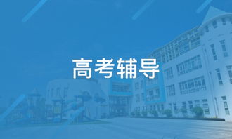 天津桃源教育咨詢（淘學培訓）探析 服務、特色與學員反饋